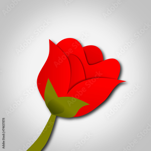 Ramos de rosas 