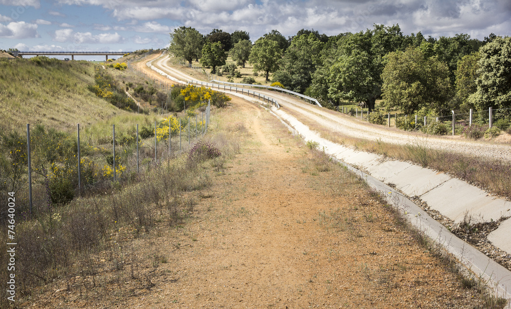 a long rural path on a spring day