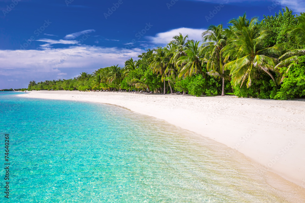 Tropical island with sandy beach with palm trees