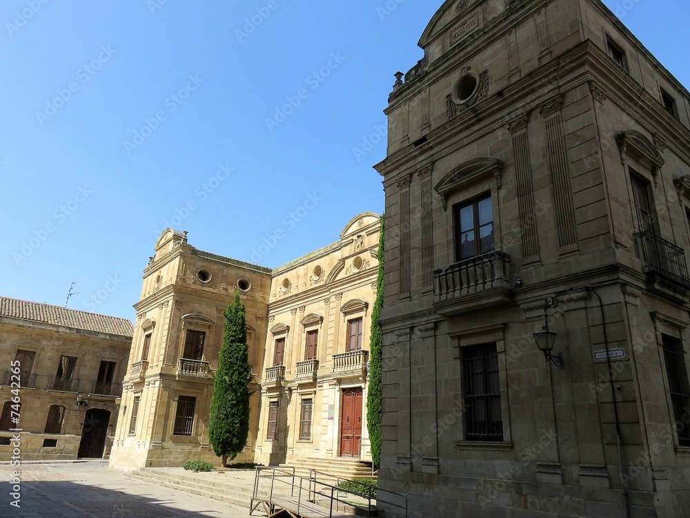 Fototapeta premium salamanca