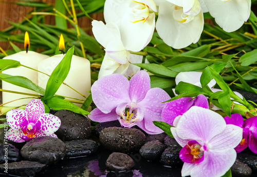 Wellness  Orchideen mit Steinen  Bambus und Kerzenlicht   