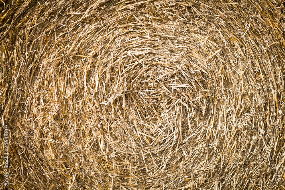 bales of grain after harvesting a wheat field bales of grain after harvesting a wheat field