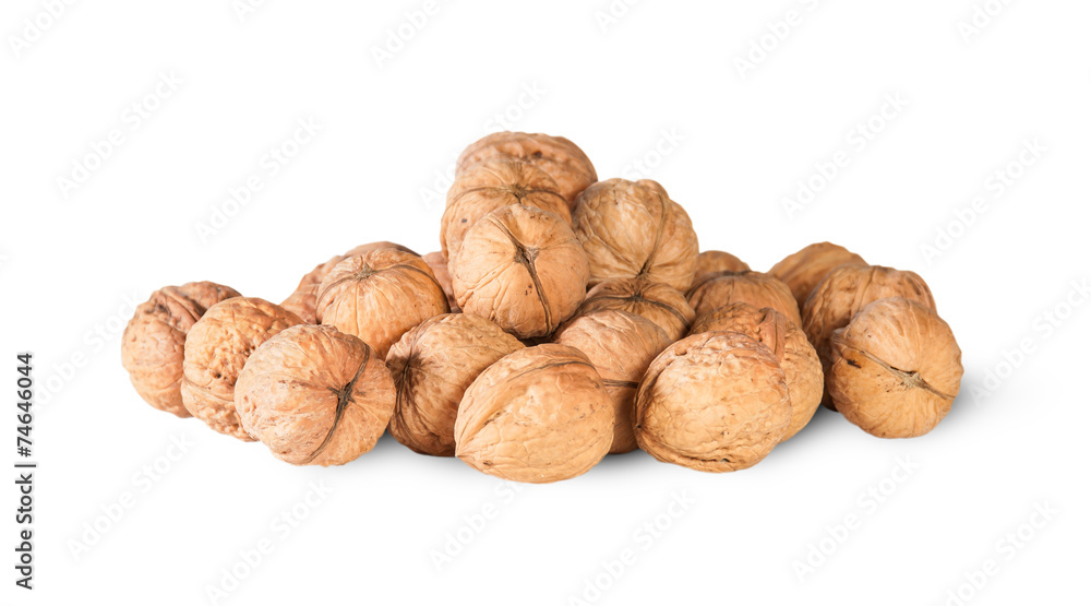 Pile Of Walnuts Pile Of Walnuts