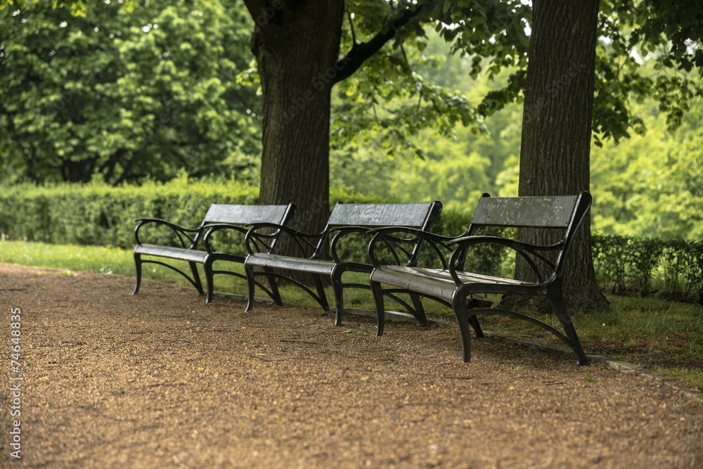 Stylish bench in autumn park
