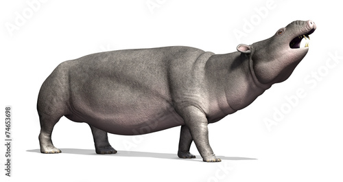 Tablou pe pânză Moeritherium - Prehistoric Mammal