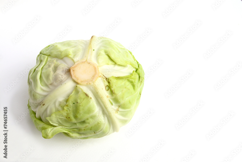 cabbage cabbage