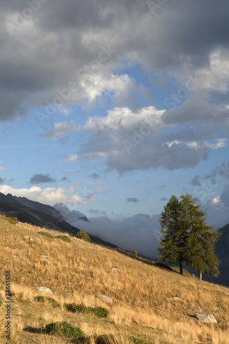 Saison Berger, Alpes de hautes Provence © laurent33