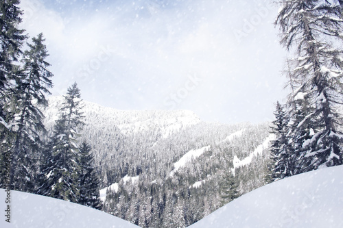 Winter Landscape