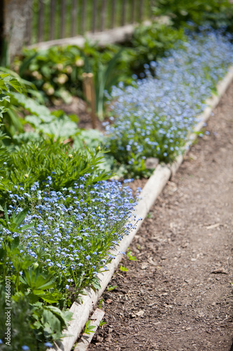 Gartenweg am Gemüsebeet