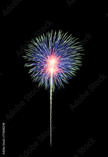 Colorful fireworks in the black sky