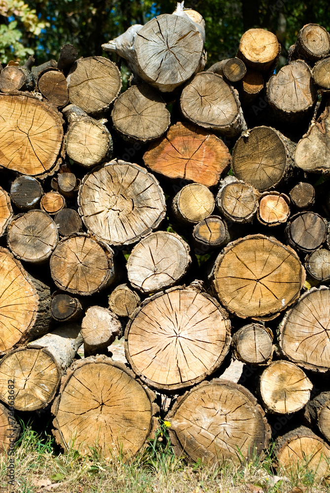 image of dry firewood laid in a heap for kindling the furnace image of dry firewood laid in a heap for kindling the furnace