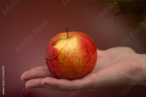 Apple of discord.