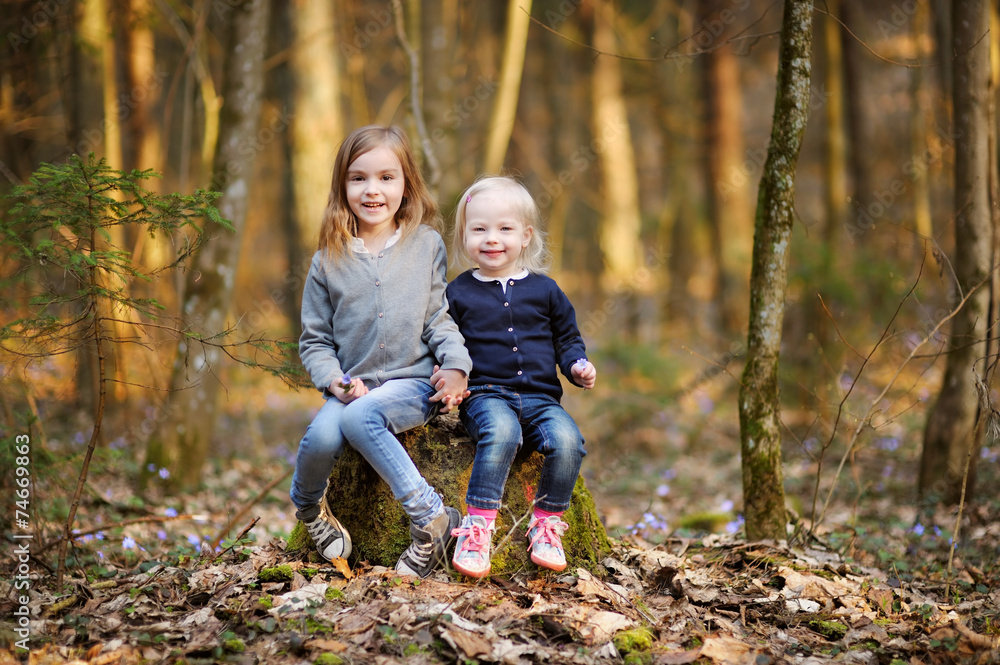 Two sisters picking the first flowers of spring Two sisters picking the first flowers of spring
