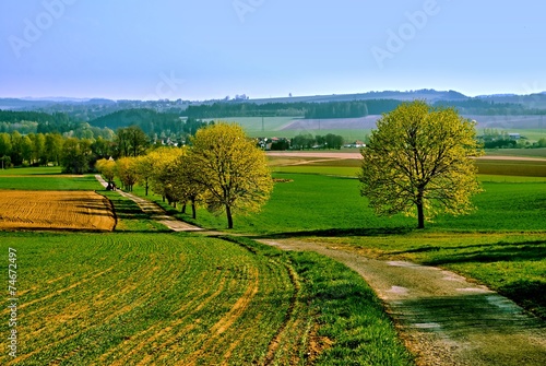 Country view