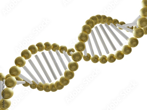 DNA Structure