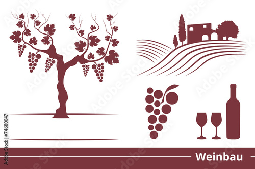 Weinbau