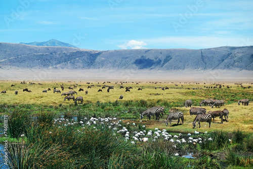 Ngorongoro Crater photo