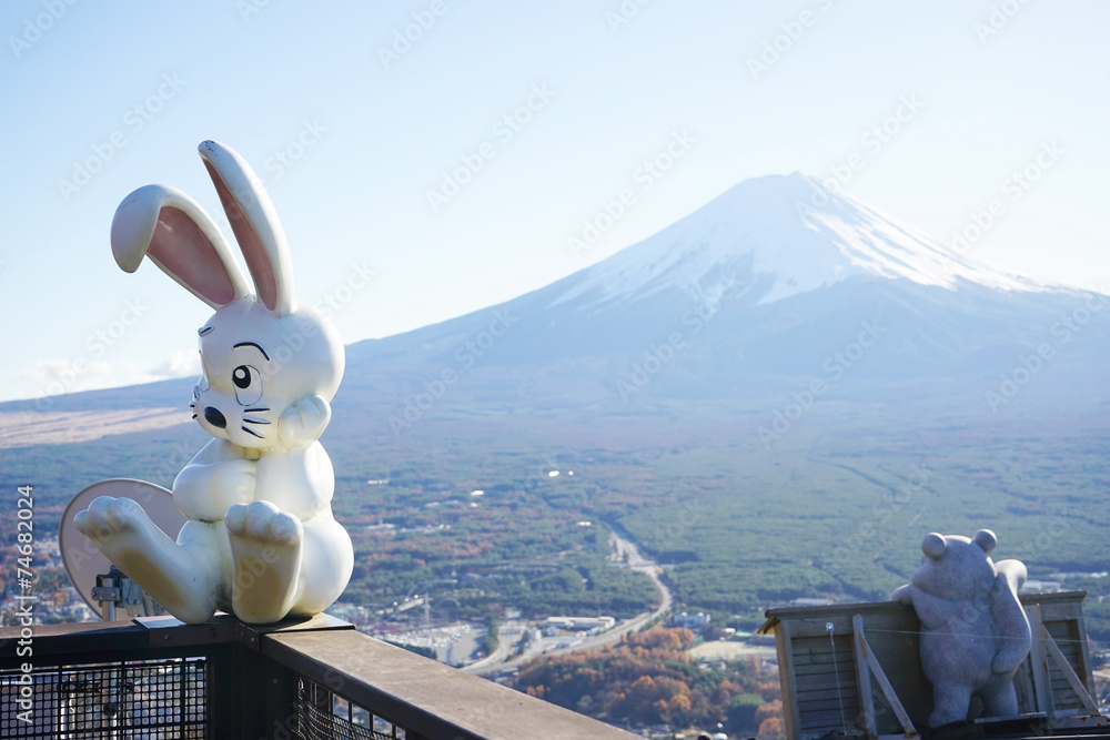 Obraz premium KAWAGUCHIKO - 28 NOV : An animal landmarks of mountain Fuji, Whi