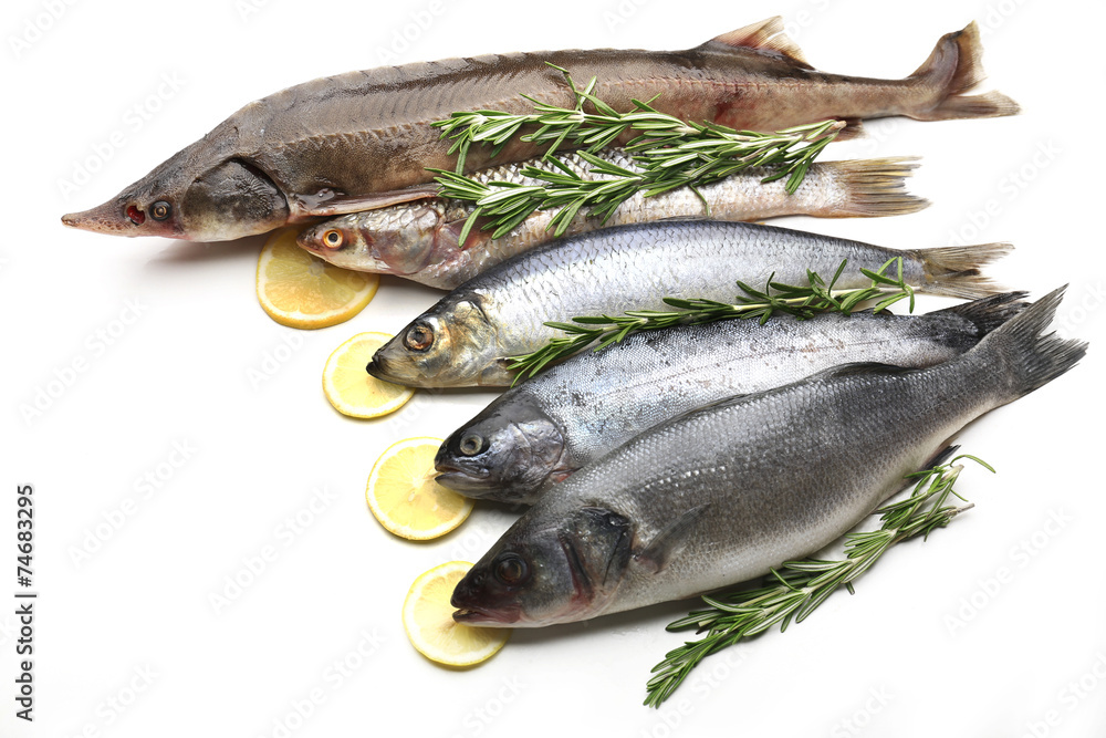 Fresh fish with lemon and rosemary isolated on white Fresh fish with lemon and rosemary isolated on white