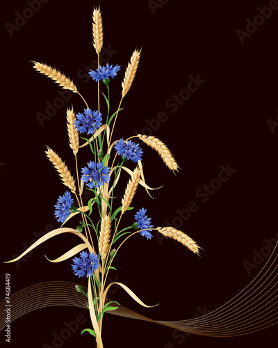 Cornflowers and ears of wheat bunch on black