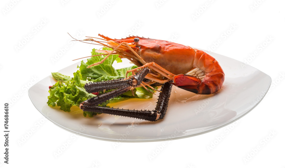 Giant Freshwater Prawn