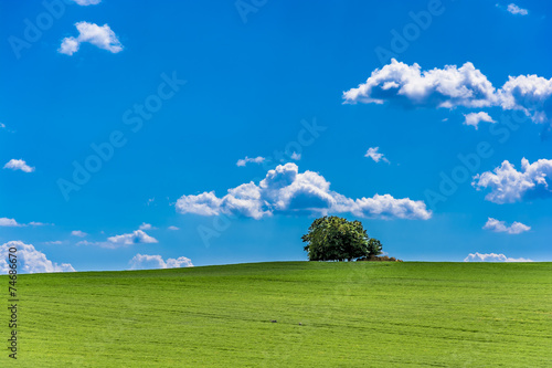 tree on hill and blue cloudy sky rural landscape