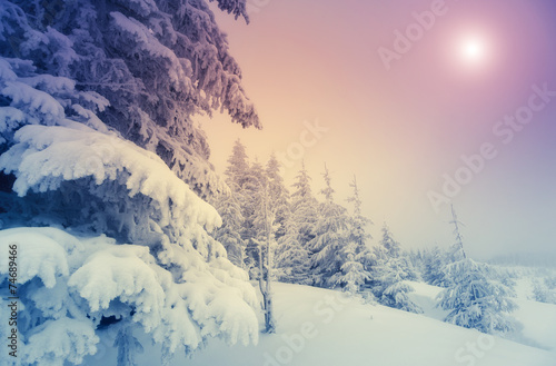 Wallpaper Mural Amazing winter landscape Torontodigital.ca