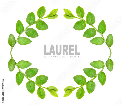 Laurel wreath with space for your text.