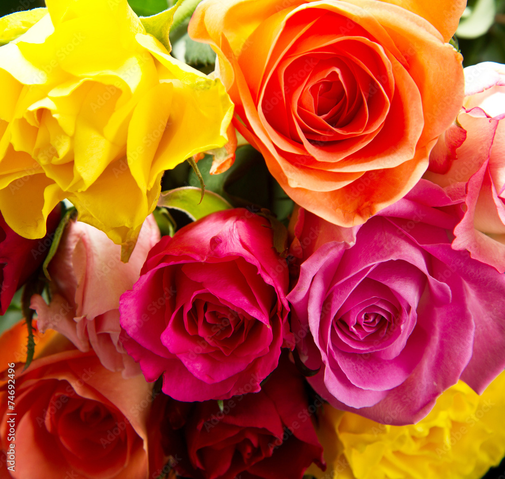 bouquet of colorful  roses - obrazy, fototapety, plakaty 