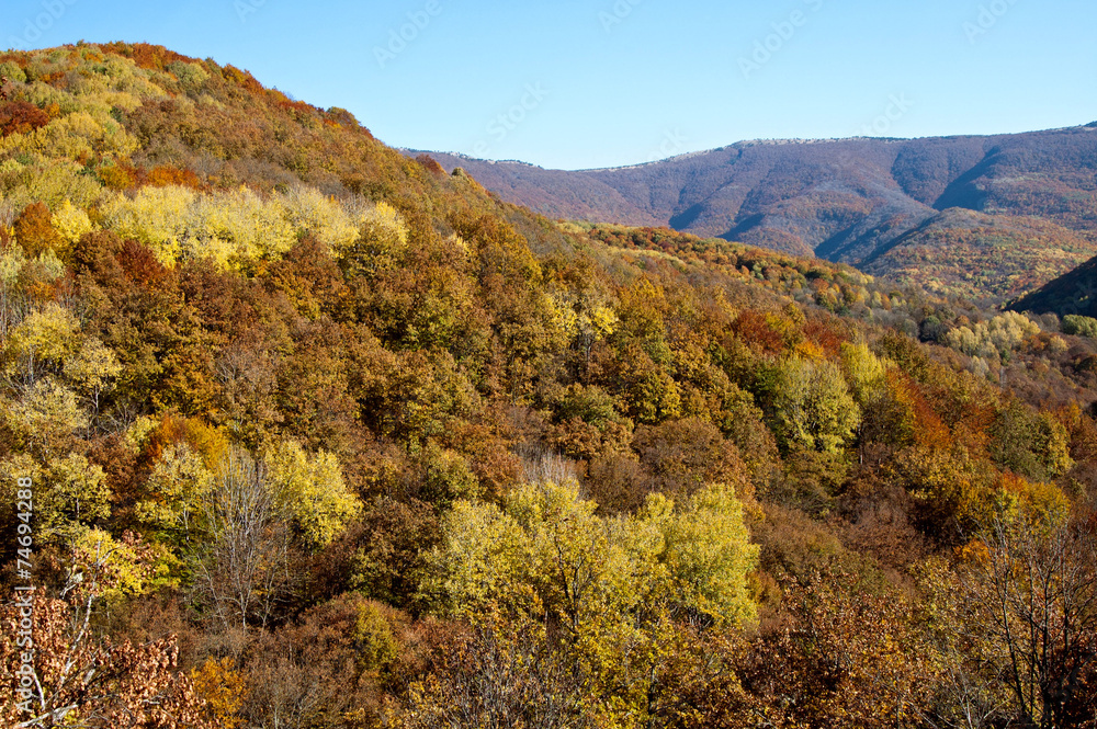 Autumn in mountains