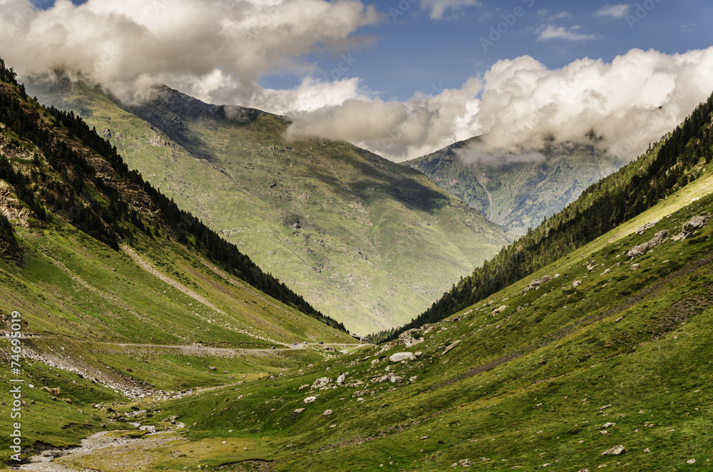 Fototapeta premium Down to the valley