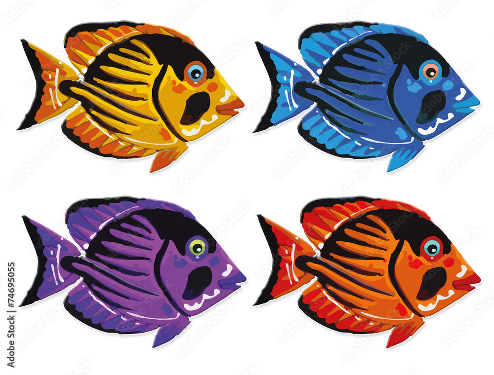 colorful fish