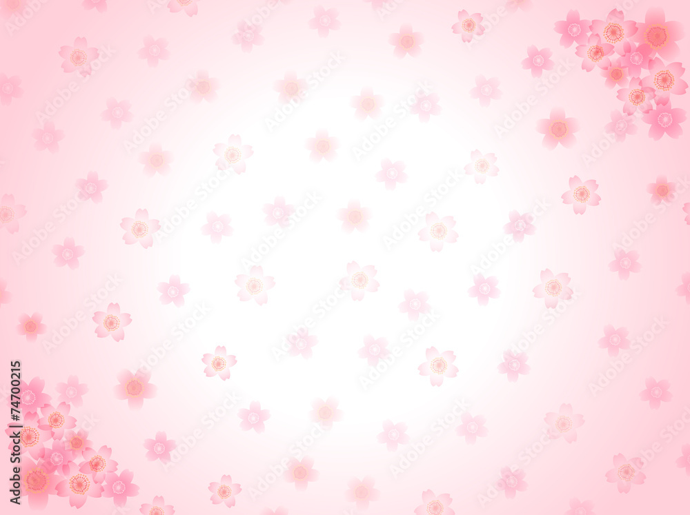 桜 花 背景 桜 花 背景