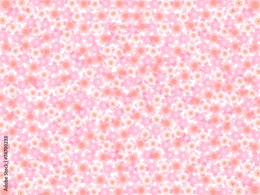 桜 花 背景 桜 花 背景