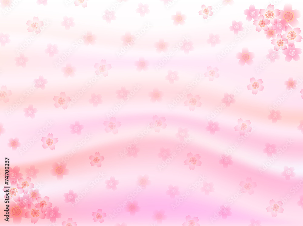 桜　花　背景