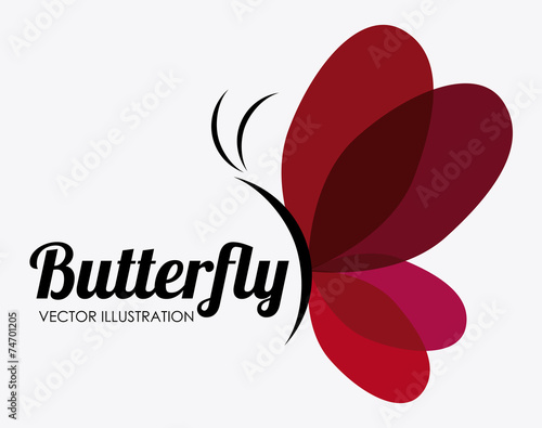 Butterfly design, vector illustration.
