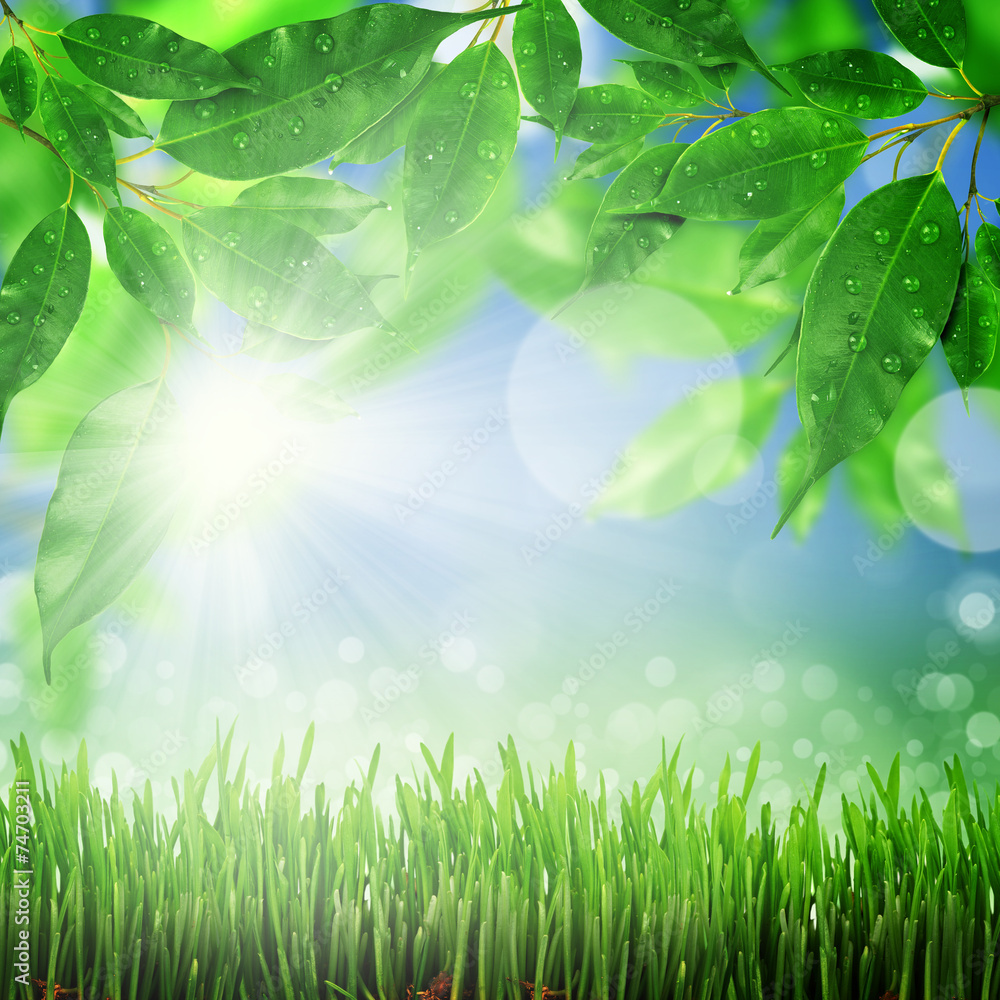 Fototapeta premium green and blue abstract defocused background with sunshine