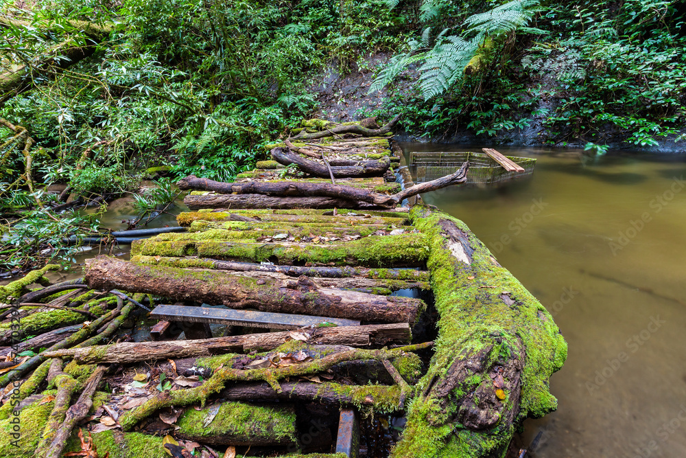 Fototapeta premium wooden bridge at Chiangmai,Thailand