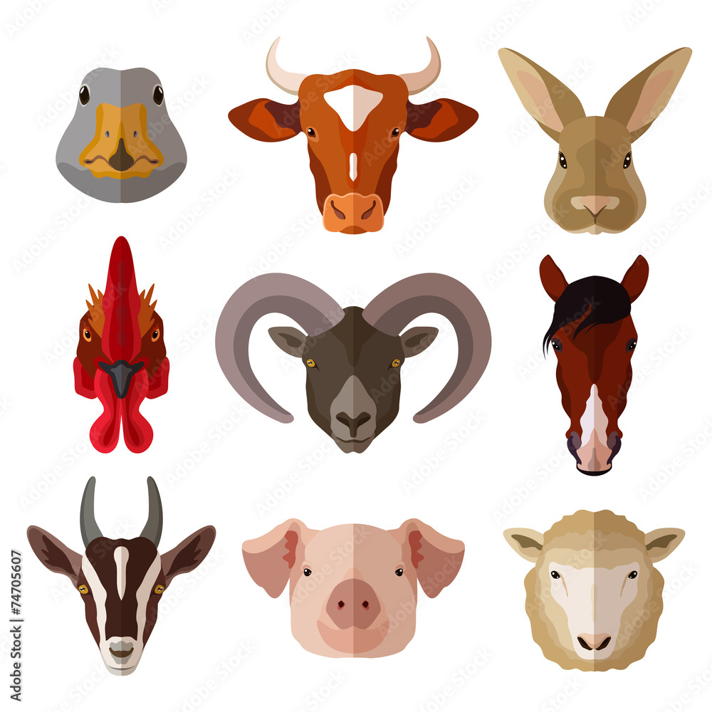 Pet Portrait Flat Icon Set Pet Portrait Flat Icon Set