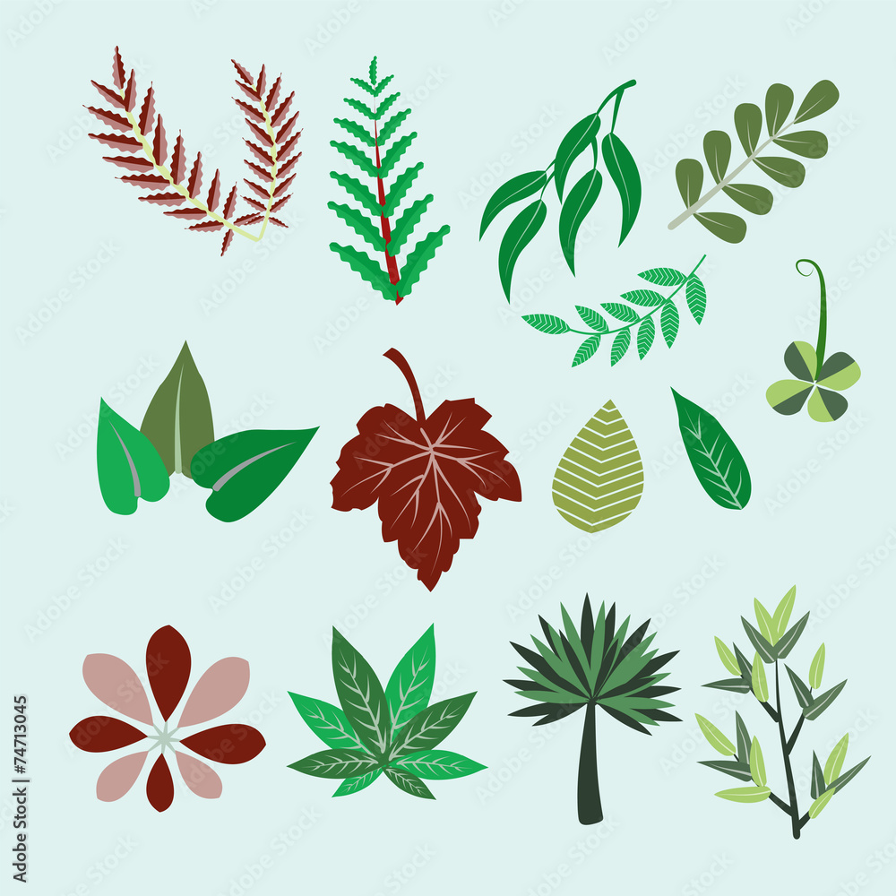 Collection of colorful leaves - Illustration Collection of colorful leaves - Illustration