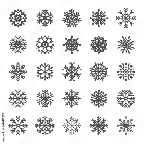 snowflake icon set 12, vector eps10