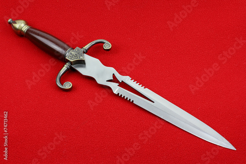 Obraz na plátne Fantasy style dagger  on a red background