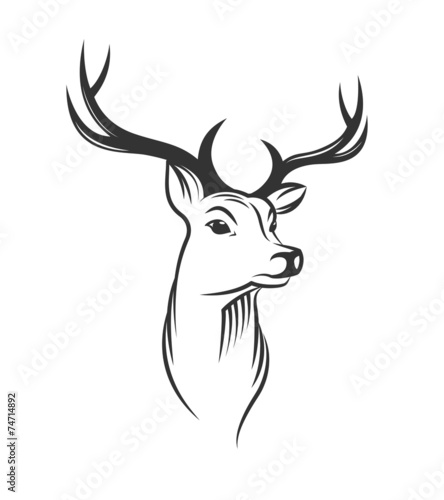 Deer head on white background