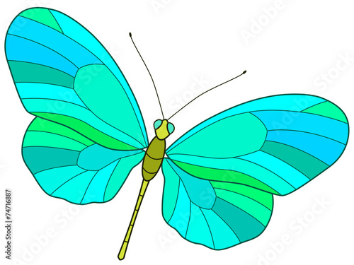 Butterfly