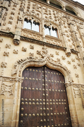 Jabalquinto Palace, Baeza, Jaen province, Spain photo