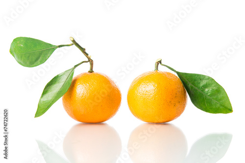 Orange fruit isolated