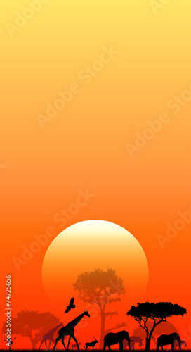 sole, savana, animali, elefanti, giraffe, skyline, penombra