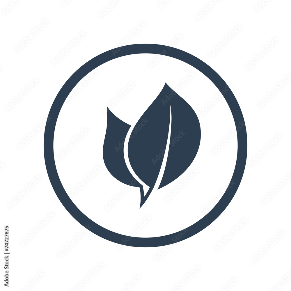 Eco leaf flat icon Eco leaf flat icon
