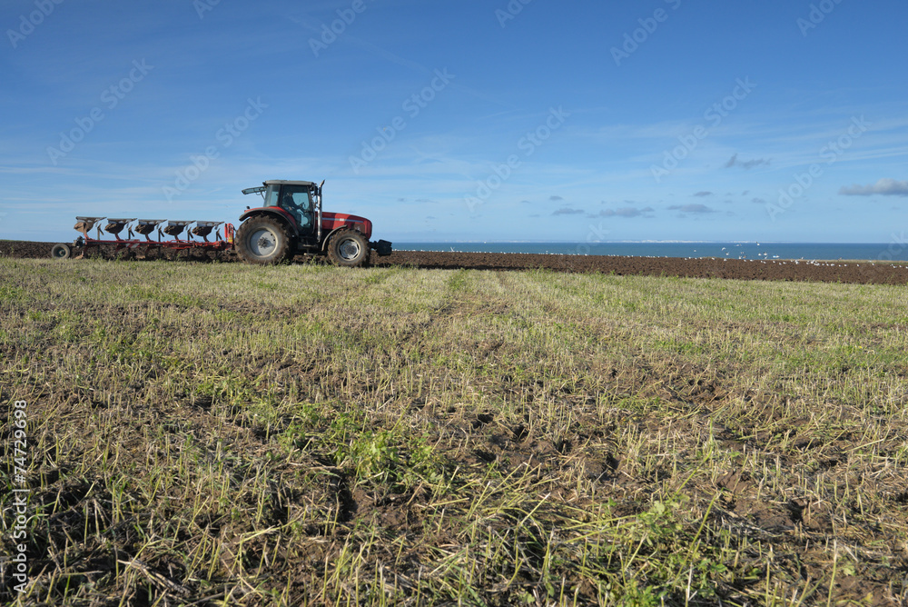 Fototapeta premium agriculture