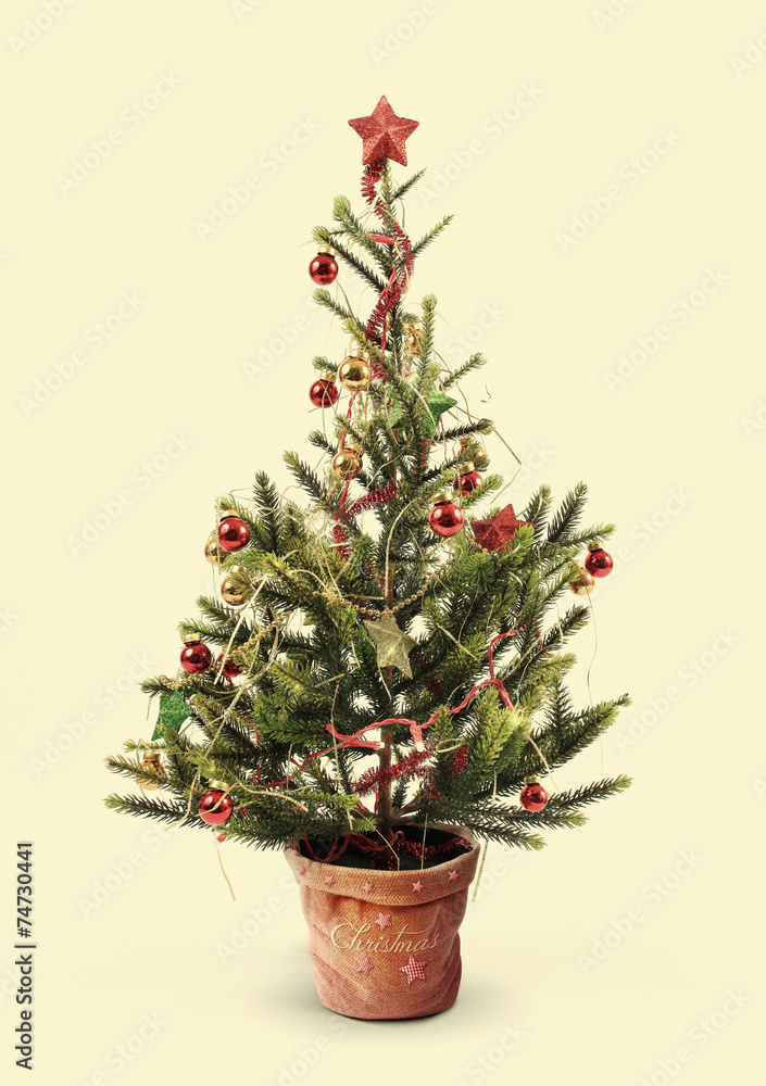 Fototapeta premium christmas